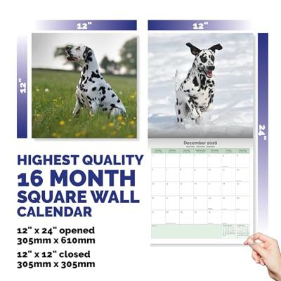 Dalmatier Kalender 2026