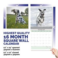 Dalmatier Kalender 2026 - thumbnail