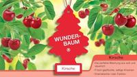 Wunder-Baum Geurbomen luchtverfrisser miracle tree cherry 1 er - thumbnail