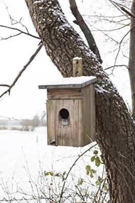Nestkast spreeuw Best for Birds - Best for birds