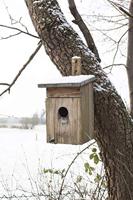 Nestkast voor spreeuw - thumbnail