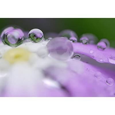 Panasonic Leica DG Macro-Elmarit 45mm F/2.8 Mega OIS