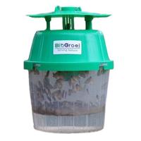 KLEINE WINTERVLINDER FEROMOONVAL | Inclusief 2 feromonen - Operophtera brumata - thumbnail