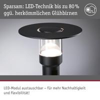 Paulmann 94835 Sienna Staande LED-tuinlamp LED 9 W Antraciet - thumbnail
