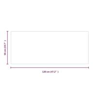Glasplaat openhaard rechthoekig 120x50 cm - thumbnail