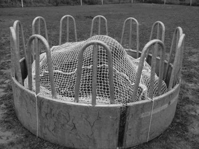 Highlight Lamp LED E27 kogel 4W 60 LM 2200K Dimbaar rook