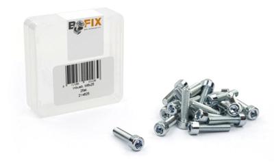 Bofix inbusbout m6x25 verzinkt (25st)