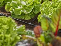 GARDENA 13211-20 Micro-Drip system T-stuk 4,6 mm (3/16) - thumbnail