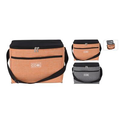 Diversen Koeltas 10l 2 verschillende kleur