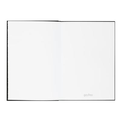 Harry Potter Premium Notebook A5 with Light Lumos Maxima