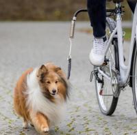 Trixie bikerset fietsbeugel springer - thumbnail