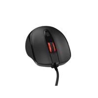 Muis Natec - thumbnail