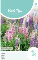 Zaden Lupinus Lupine Russell's Hybrids gemengd Hortitops - Hortitops - thumbnail