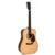 Sigma Guitars SDR-28 akoestische western gitaar met softcase - thumbnail