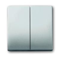 Busch-Jaeger 2CKA001751A2962 Serietoets Afdekking RVS 1 stuk(s) - thumbnail