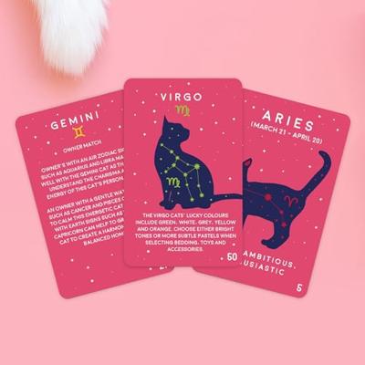 Paw-mistry Kaarten - Kat