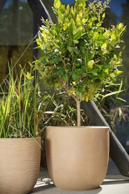 Bolvormige bloempot - CAPI EUROPE - Gladde NL - 35 x 34 cm - Beige