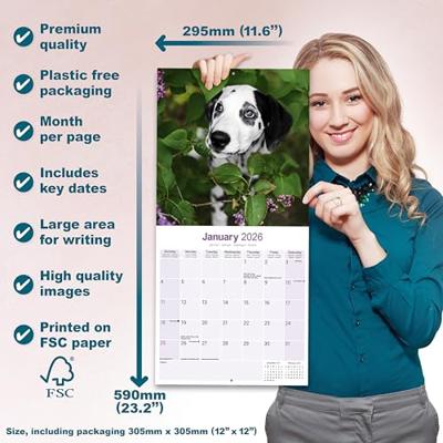 Dalmatier Puppies Kalender 2026