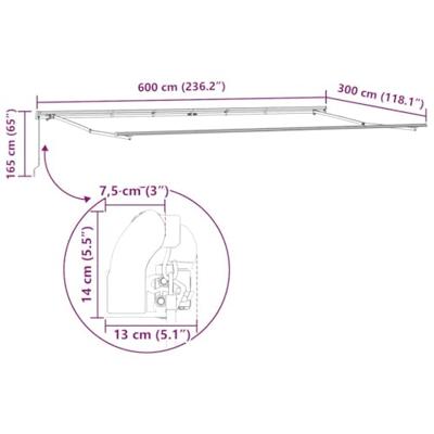 Luifel handmatig uittrekbaar 600x300 cm antraciet en wit