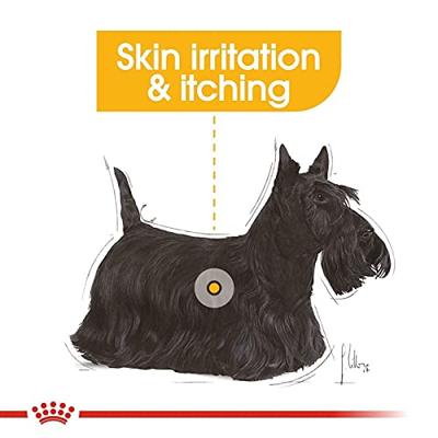 Royal Canin Mini Dermacomfort hondenvoer 2 x 8 kg - thumbnail