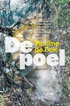 De poel - Pauline de Bok - ebook
