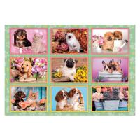 Clementoni legpuzzel super color puppies collage, 180st. - thumbnail
