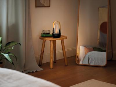 Stadler Diffuser Sophie little black 1 Stuks