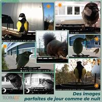 Technaxx TX-165 Wildcamera Geluidsopnames, Black LEDs, Incl. klemhouder Groen - thumbnail