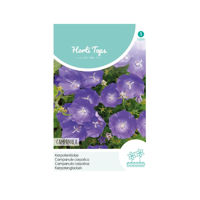 Campanula Carpatica blauw - Hortitops - thumbnail