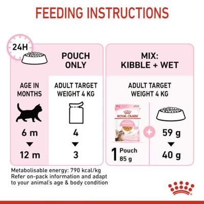 Royal Canin Kitten Sterilised natvoer kat (in gelei) 1 doos (12 x 85 g) - thumbnail