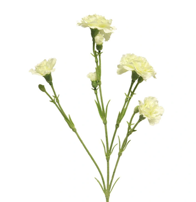Dianthus Charly cream 62 cm kunstbloem Erutan Avon - Erutan avon