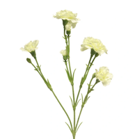 Dianthus Charly cream 62 cm kunstbloem Erutan Avon - Erutan avon - thumbnail