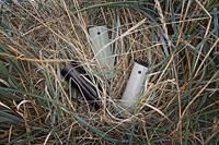 STELTON - EM 77 - EM 77 Thermoskan 1L Zwart - thumbnail