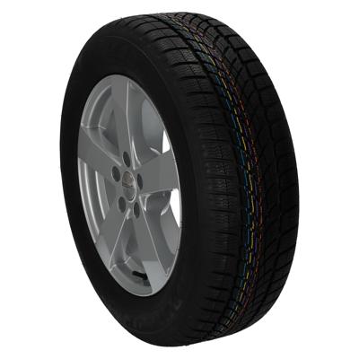 Sp Winter Sport 4D MO MFS