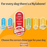 Nylabone, Extreem sterk kauweffect, Nieuw kauwspeeltje gemaakt van broccoli, Duurzaam kauwspeeltje met spek- en kaassmaak, Groot, Voor honden tot 23 kg - thumbnail