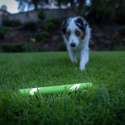 Chuckit max glow ultra fetchstick groen