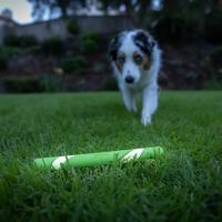 Chuckit max glow ultra fetchstick groen - thumbnail