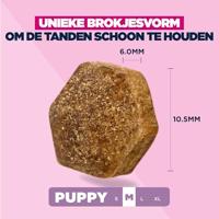 Eukanuba Puppyvoer met verse kip voor middelgrote rassen, premium droogvoer voor junior honden, 3 kg - thumbnail