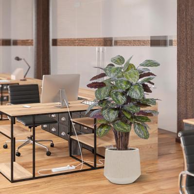 Calathea Roseopicta kunstplant Deluxe 125cm rood