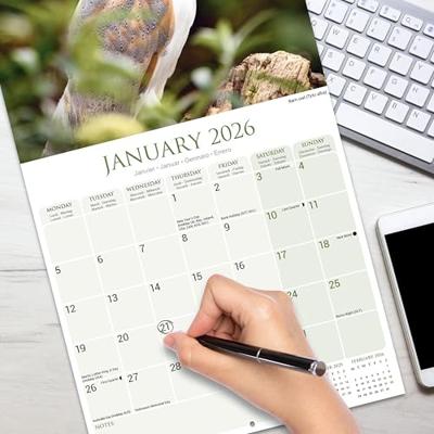 Uilen Kalender 2026 Uilen Kalender 2026