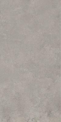 Century Titan Vloertegel | 60x120 cm | Gerectificeerd | Betonlook | Mat Grijs