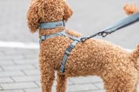 Verstelbare hondenriem Trixie CityStyle Zwart M/L - thumbnail