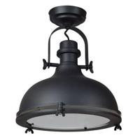 Urban Interiors Industriele plafondlampHarvey - AI-SL-312 - thumbnail