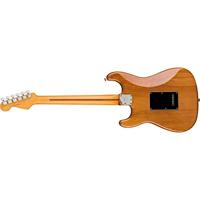 Fender American Professional II Stratocaster Roasted Pine RW elektrische gitaar met koffer - thumbnail