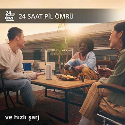 Sony SRS-XE300 Bluetooth Speaker Lichtgrijs