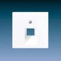 Jung AS500 inzetplaat voor data aansluiting creme A569-1PLUA - thumbnail