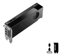 PNY Nvidia RTX PRO 4000 Blackwell Videokaart RTX PRO 4000 24 GB GDDR7-RAM Mini-DisplayPort - thumbnail
