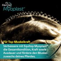 Equitop Myoplast - thumbnail