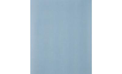 PFERD TOOLS 45015060 Handschuurpapier Korrelgrootte (num) 600 (l x b) 280 mm x 230 mm 50 stuk(s)