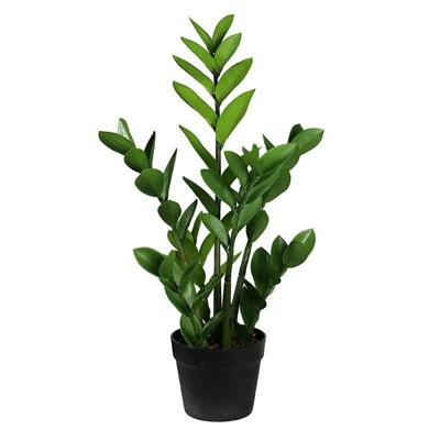 Zamioculcas 75 cm kunstplant Buitengewoon de Boet - Buitengewoon de boet Zamioculcas 75 cm kunstplant Buitengewoon de Boet - Buitengewoon de boet